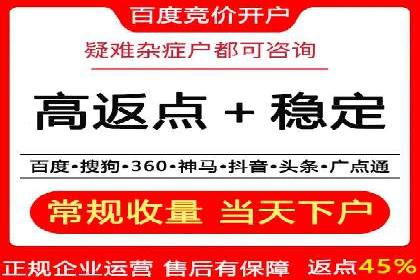 SEM精准广告投放的五大成功案例